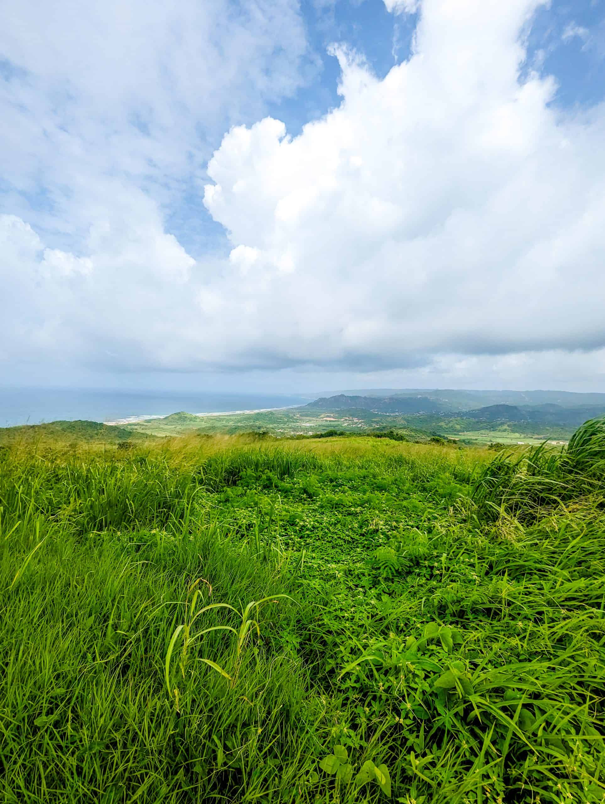 A view of the ocean from a grassy hill.