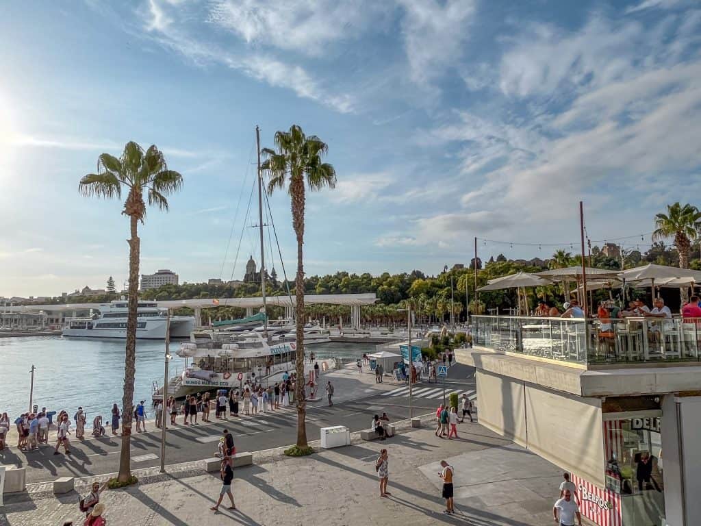 A group of people walking along a waterfront with palm trees.