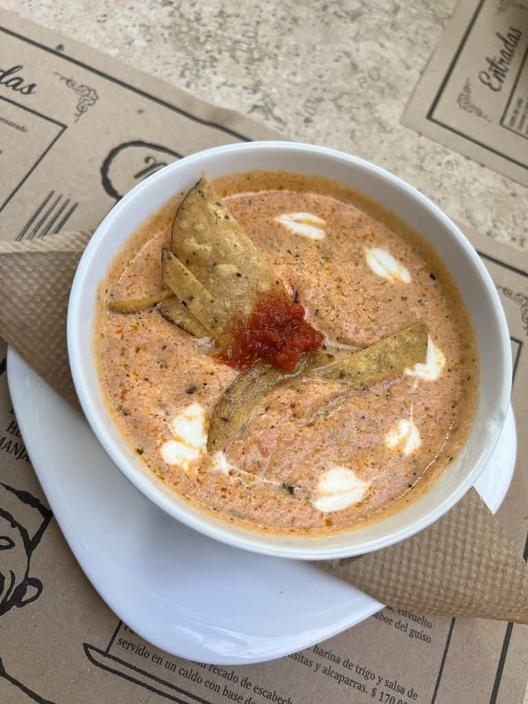 A bowl of creamy soup garnished with tortilla strips and a dollop of salsa, reminiscent of one delightful day in Merida.
