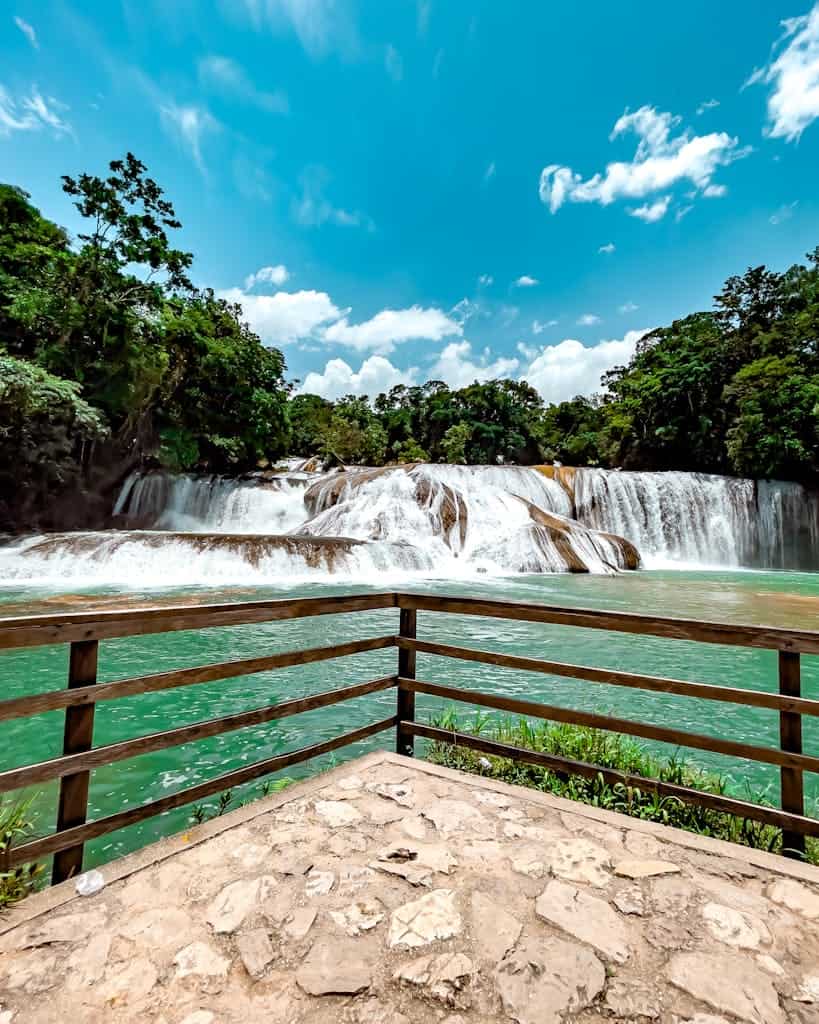 Green Trees Near the Waterfalls