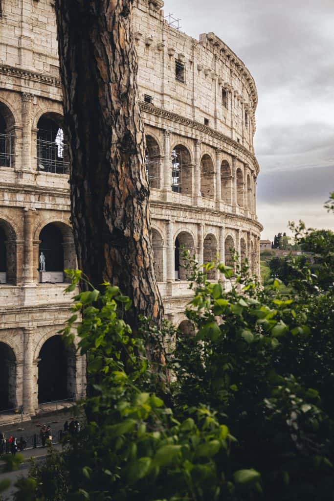 The best way to see the colosseum in Rome is partly obscured by a tree trunk and foliage in the foreground.