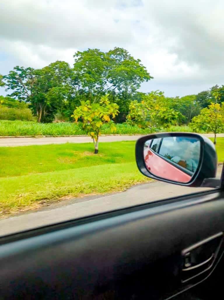 Peering through the car window, you witness a scenic roadside adorned with small trees, a grassy lawn, and a cloudy sky—prompting musings about whether such tranquil beauty in Barbados comes with a steep price.